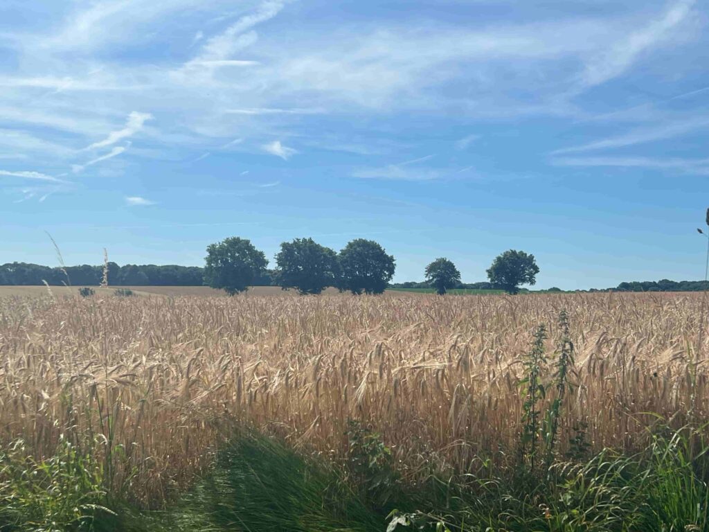 wandelen in Zuid Limburg