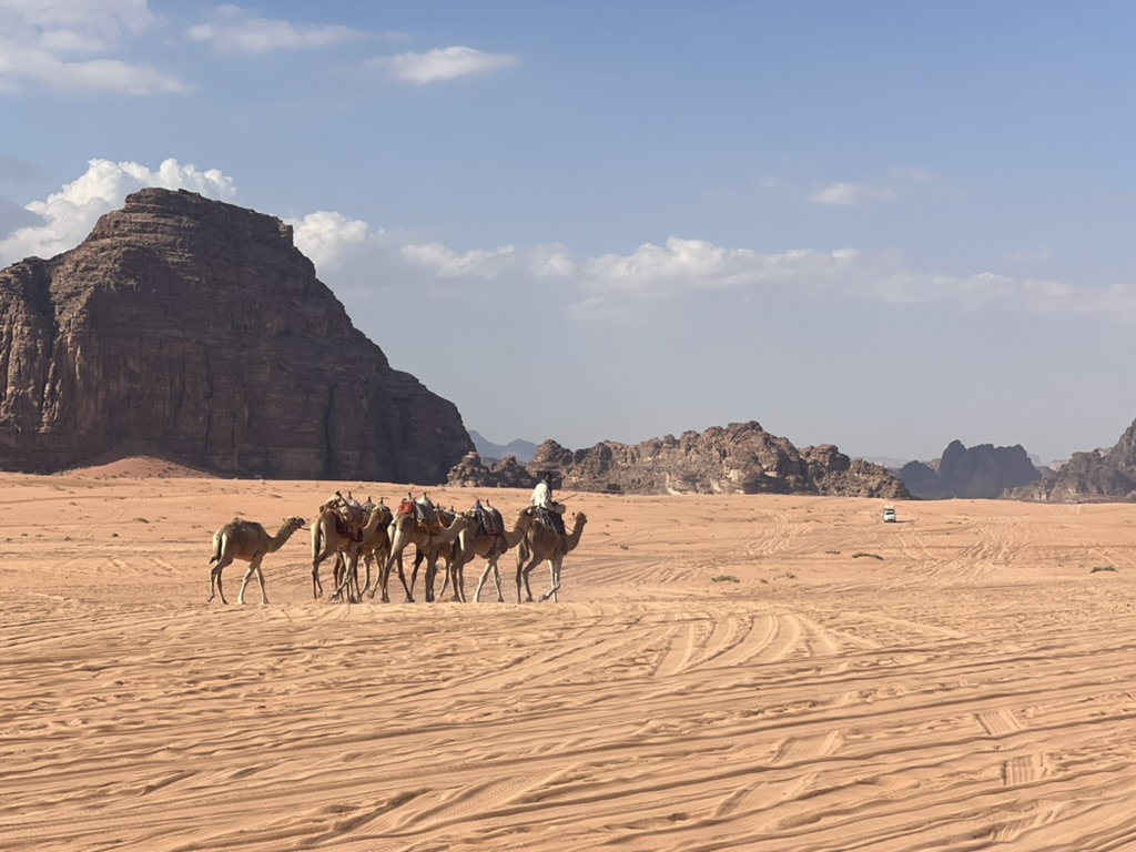 Kamelen Wadi Rum woestijn